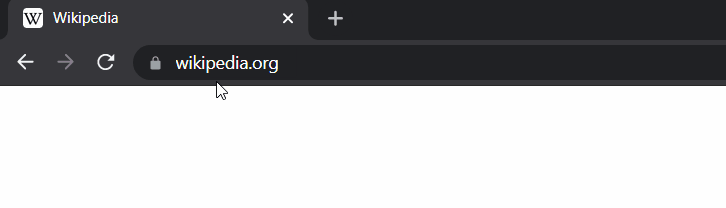 | SoftwareGeeknl Spoedig Surft U Met Google Chrome Sneller