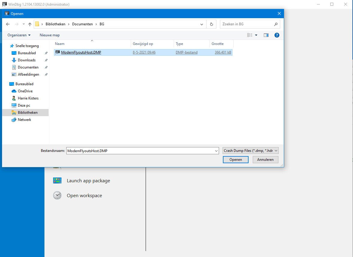 | SoftwareGeeknl Open En Analyseer Windows 10 Dumpbestand | Softwaregeeknl