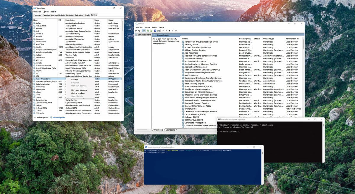 | SoftwareGeeknl Systeemservices Beheren in Windows 11