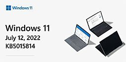 Windows 11 KB5015814: met deze oplossingen