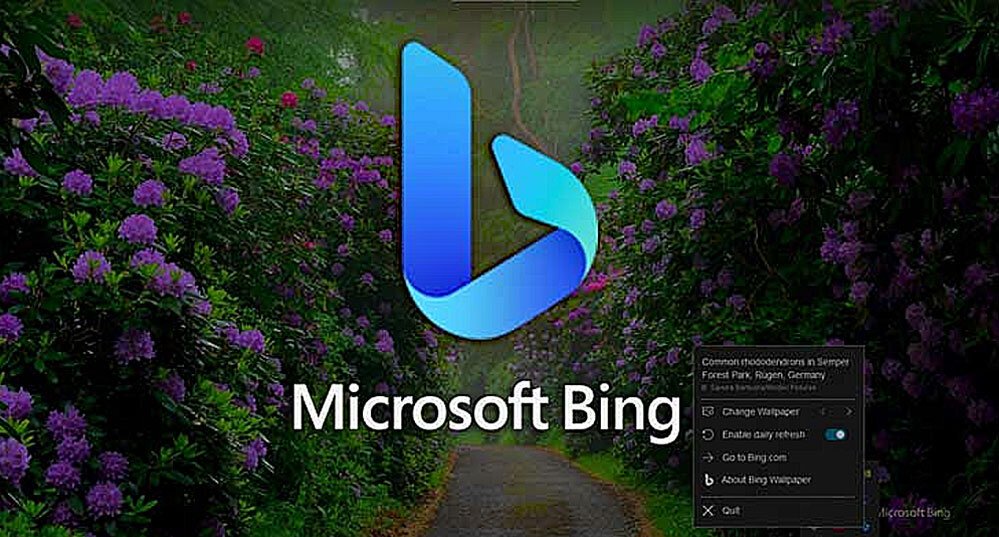 | SoftwareGeeknl Oud Microsoft Directeur over Windows 11 | Softwaregeeknl