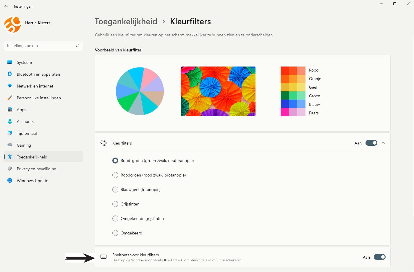 Kleurfilters Gebruiken in Windows 11