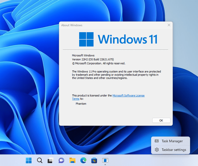Zet verborgen functies aan in Windows 11