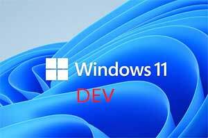 Windows 11 Build 25236 DEV kanaal is uit