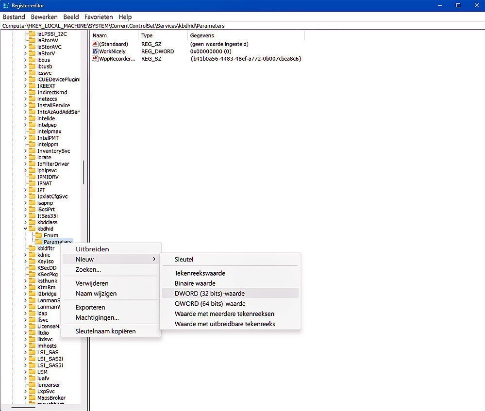 | SoftwareGeeknl Regedit Dword
