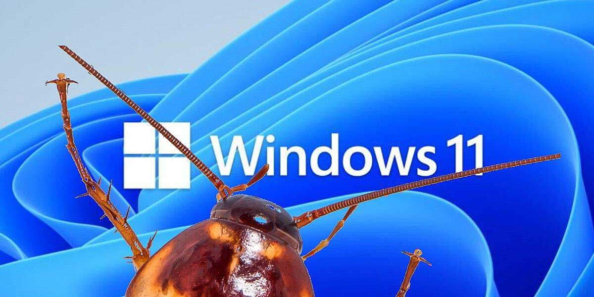 Reparatie Bestanden Kopiëren Windows 11