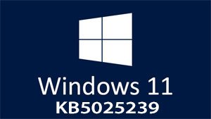 Windows 11 KB5025239 is uitgebracht
