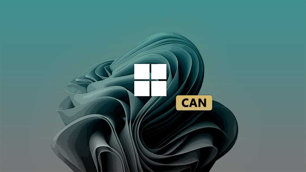 | SoftwareGeeknl Meer Verwijderbare Apps in Windows 11 | Softwaregeeknl