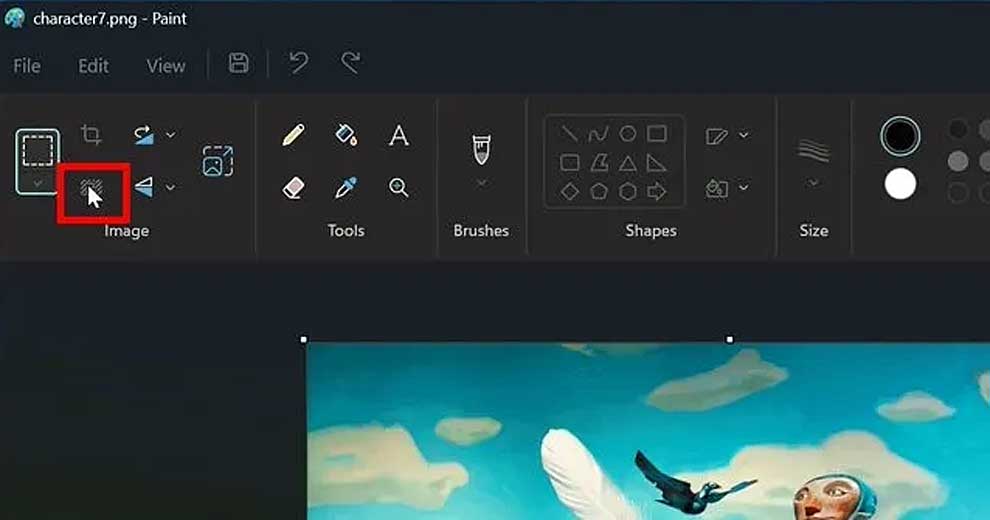 | SoftwareGeeknl Nieuw Achtergrond in Paint Verwijderen | Softwaregeeknl