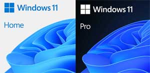 Windows 11 Home / Pro wat is het verschil?