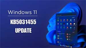 Update Windows 11 KB5031455 is uitgebracht