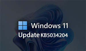 Windows 11 update KB5034204 is uitgebracht