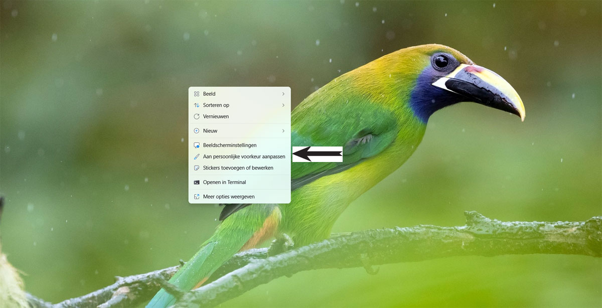 | SoftwareGeeknl Open Zo De App Instellingen in Windows 11